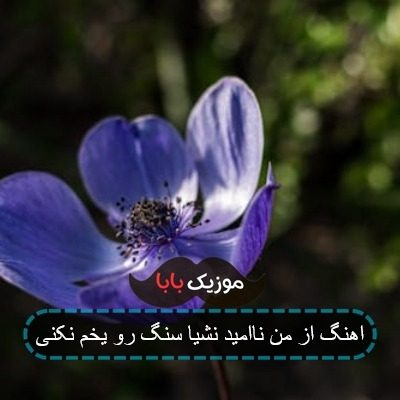 اهنگ از من ناامید نشیا سنگ رو یخم نکنی