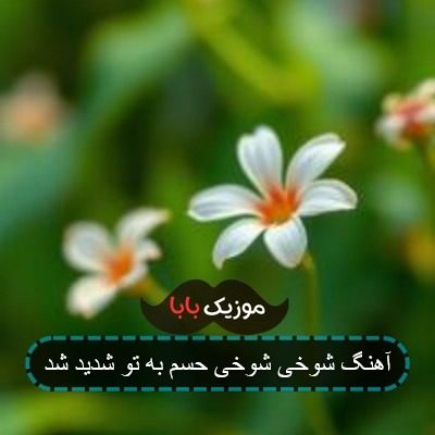 آهنگ شوخی شوخی حسم به تو شدید شد آهنگ شوخی شوخی حسم به تو شدید شد