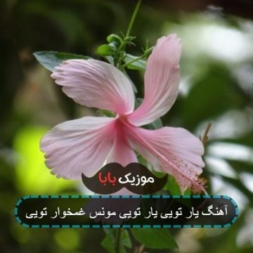 آهنگ یار تویی یار تویی مونس غمخوار تویی ریمیکس