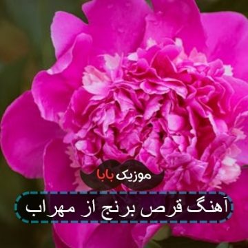 آهنگ قرص برنج از مهراب