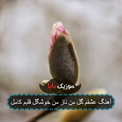 آهنگ عشق گل من ناز من خوشگل من