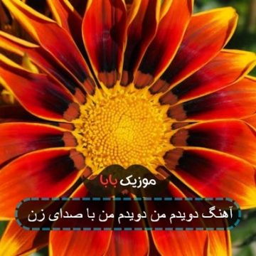 آهنگ دویدم من دویدم من با صدای زن آهنگ دویدم من دویدم من با صدای زن