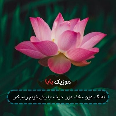 آهنگ بدون مکث بیا پیش خودم ریمیکس آهنگ بدون مکث بیا پیش خودم ریمیکس