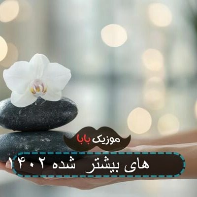 آهنگ های بیشتر  شده ۱۴۰۲