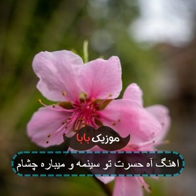 اهنگ آه حسرت تو سینمه و میباره چشام اهنگ آه حسرت تو سینمه و میباره چشام