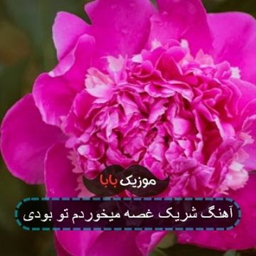 خواننده آهنگ میبردم دلیل بردم تو بودی خواننده آهنگ میبردم دلیل بردم تو بودی