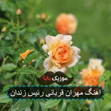 اهنگ مهران قربانی رئیس زندان