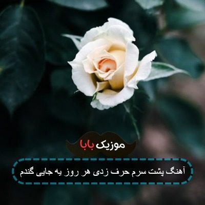 آهنگ پشت سرم حرف زدی هر روز یه جایی گندم