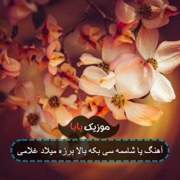 آهنگ یا شاممه سی بکه بالا برزه میلاد غلامی