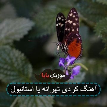 آهنگ کردی تهرانه یا استانبول آهنگ کردی تهرانه یا استانبول