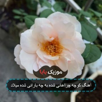 آهنگ کوچه چراغانی شده به چه بارانی شده میلاد