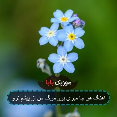 آهنگ هرجا میری برو مرگ من از پیشم ن