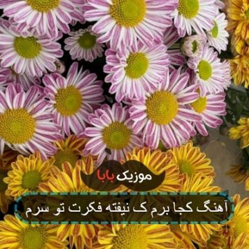آهنگ کجا برم ک نیفته فکرت تو سرم