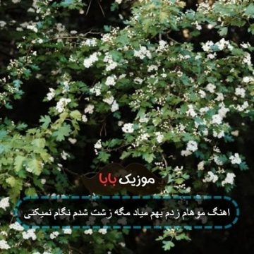 اهنگ میلاد راستاد خدمت موهامو زدم اهنگ میلاد راستاد خدمت موهامو زدم