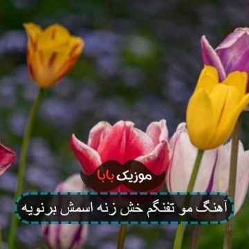 آهنگ مو تفنگم خش زنه اسمش برنویه