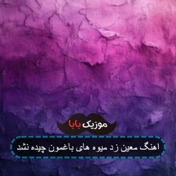 اهنگ معین زد میوه های باغمون چیده نشد