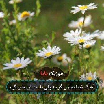 اهنگ شما نفستون گرمه از معین زد