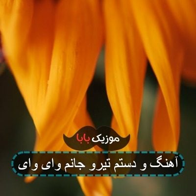 آهنگ و دستم تیرو جانم وای وای آهنگ و دستم تیرو جانم وای وای