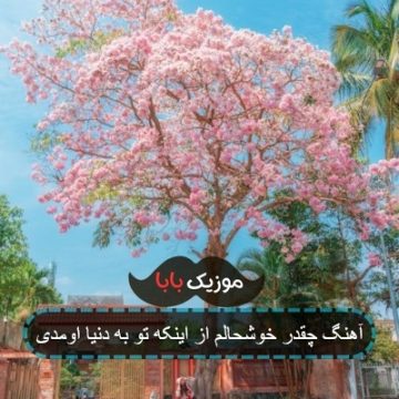 آهنگ چقدر خوشحالم از اینکه تو به دنیا اومدی