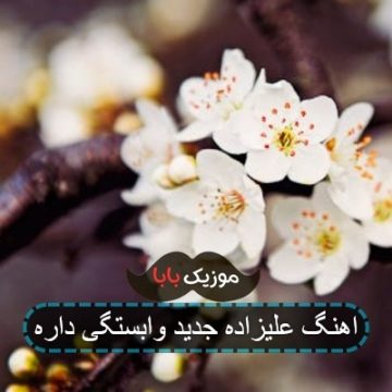 اهنگ علیزاده جدید وابستگی داره