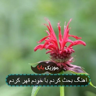 اهنگ بحث کردم با خودم قهر کردم