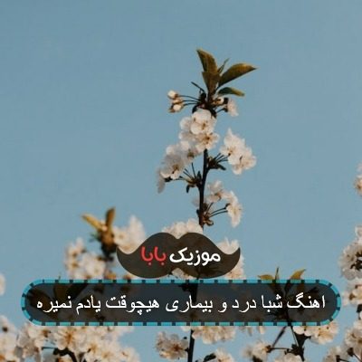 اهنگ شبا درد و بیماری هیچوقت یادم نمیره