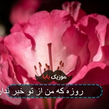 رقص بتمن و مردعنکبوتی با آهنگ هفتاد روزه