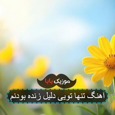 آهنگ تنها تویی دلیل زنده بودنم