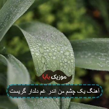 آهنگ یک چشم من اندر غم دلدار گریست