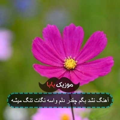 آهنگ نشد بگم چقدر دلم واسه نگات تنگ میشه