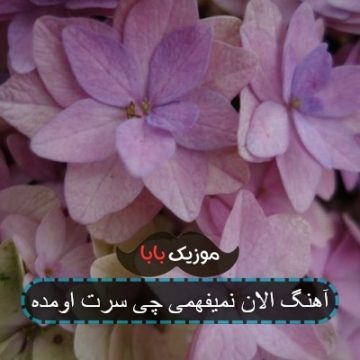 اهنگ الان داغی نمیفهمی چی سرت اومده