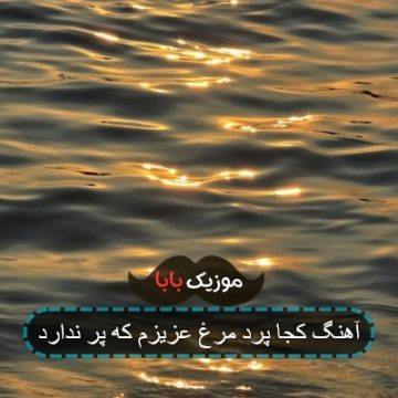 آهنگ کجا پرد مرغ عزیزم که پر ندارد آهنگ کجا پرد مرغ عزیزم که پر ندارد