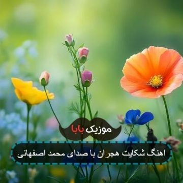 آهنگ شکایت هجران محمد اصفهانی