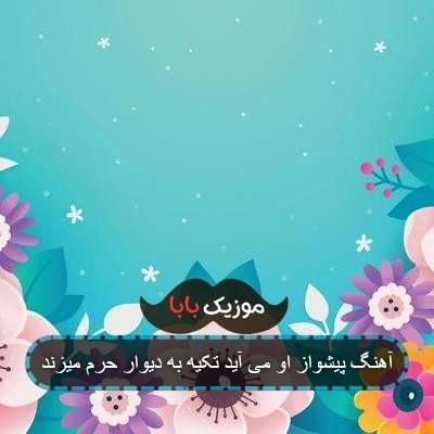 آهنگ پیشواز او می آید تکیه به دیوار حرم میزند