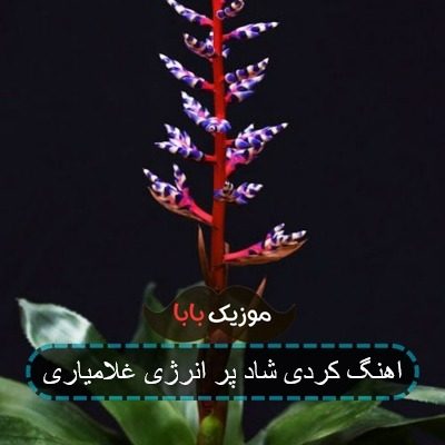 اهنگ کردی شاد پر انرژی غلامیاری