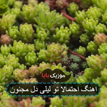 اهنگ احتمالا تو لیلی دل مجنون