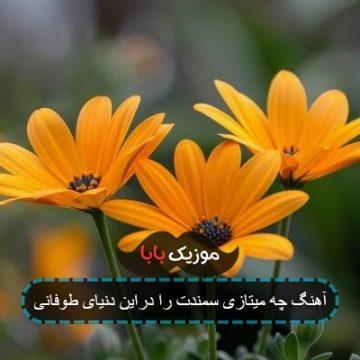آهنگ چه میتازی سمندت را دراین دنیای طوفانی