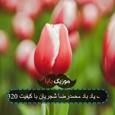 آهنگ یاد باد محمدرضا شجریان با کیفیت 320