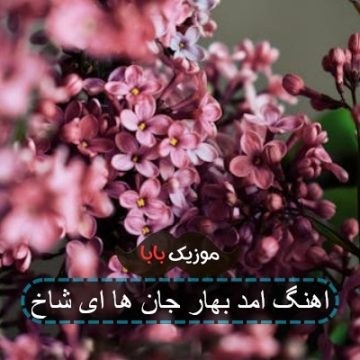 آهنگ جان پدر برقصان محسن چاوشی