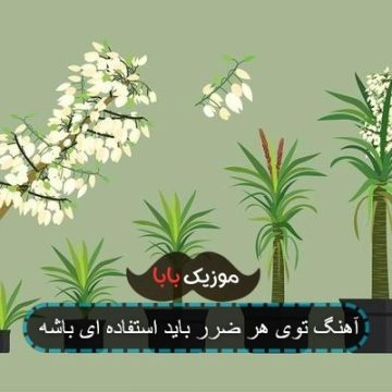 آهنگ توی هر ضرر باید استفاده ای باشه آهنگ توی هر ضرر باید استفاده ای باشه