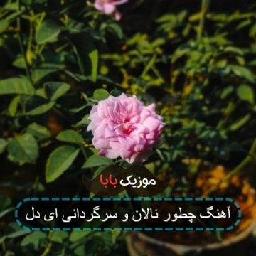 آهنگ چرا آزرده حالی ای دل ای دل