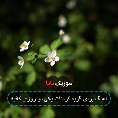 آهنگ برای گریه کردنات یکی دو روزی کافیه