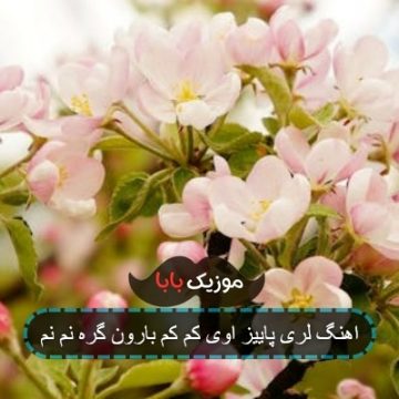 اهنگ لری پاییز اوی کم کم بارون گره نم نم
