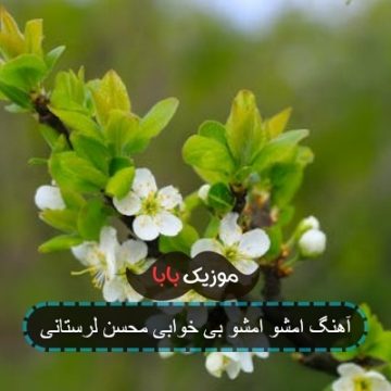 آهنگ امشو امشو بی خوابی محسن لرستانی