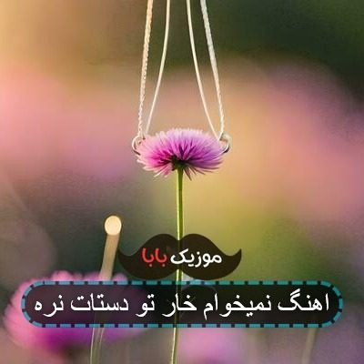 اهنگ نمیخوام خار تو دستات نره