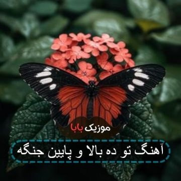 آهنگ تو ده بالا و پایین جنگه