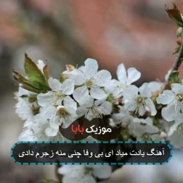 آهنگ یادت میاد ای بی وفا چنی منه زجرم دادی