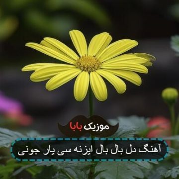 آهنگ لری دل دیوونه که پابند تو وابید ای یار