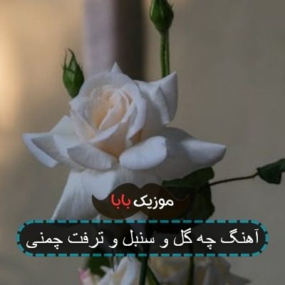 آهنگ چه گل و سنبل و ترفت چمنی