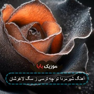 آهنگ شیرمردا تو چه ترسی ز سگ لاغرشان آهنگ شیرمردا تو چه ترسی ز سگ لاغرشان